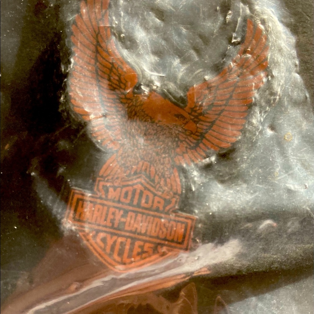 Harley Davidson Eagle Pin